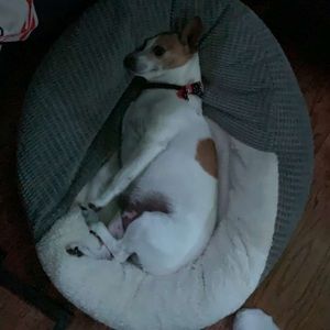 Meet your Posher, Josh